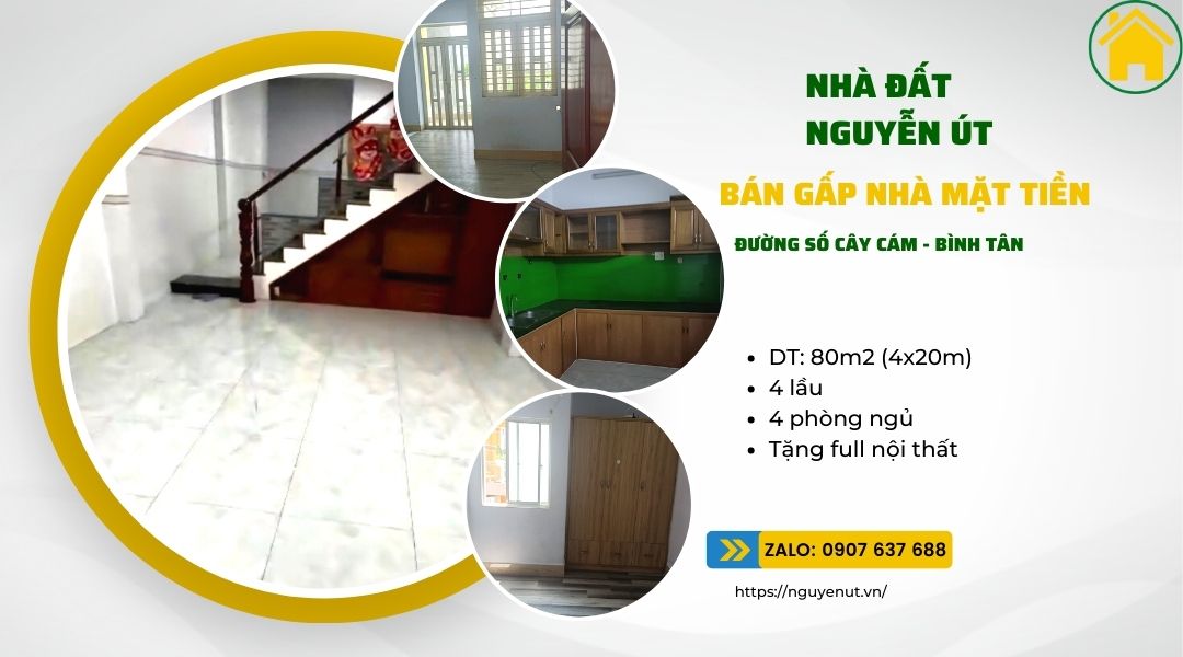 Thông tin tổng hợp về nhà đất đường Cây Cám, quận Bình Tân