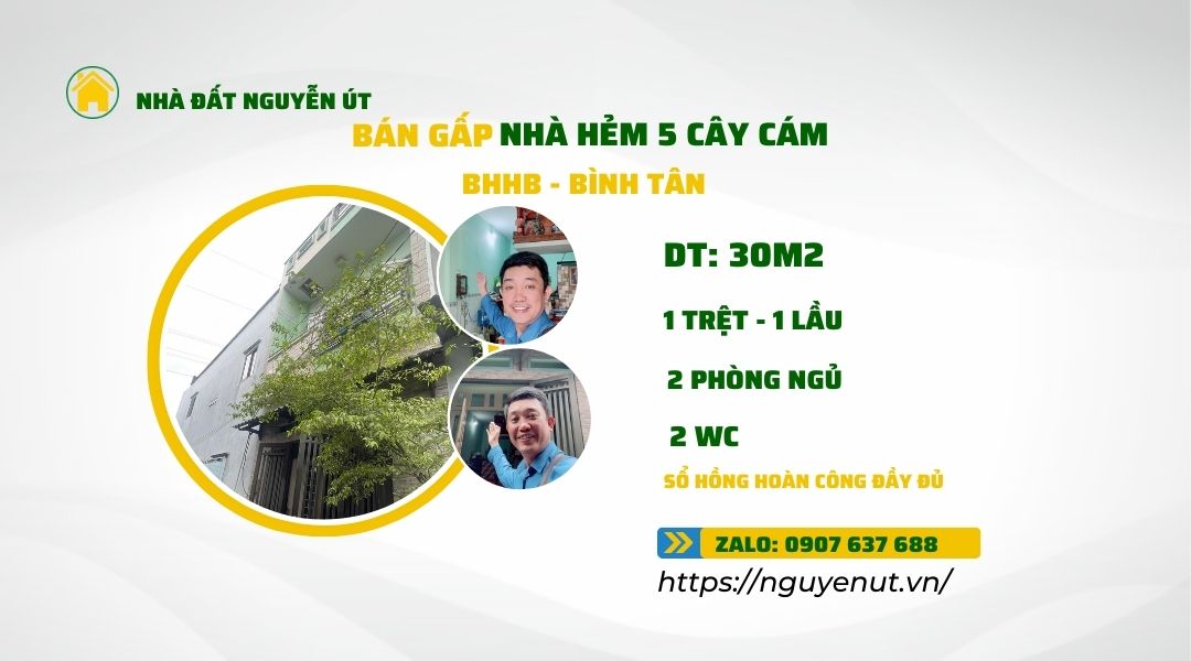 Lợi thế của nhà đất tại đường Cây Cám